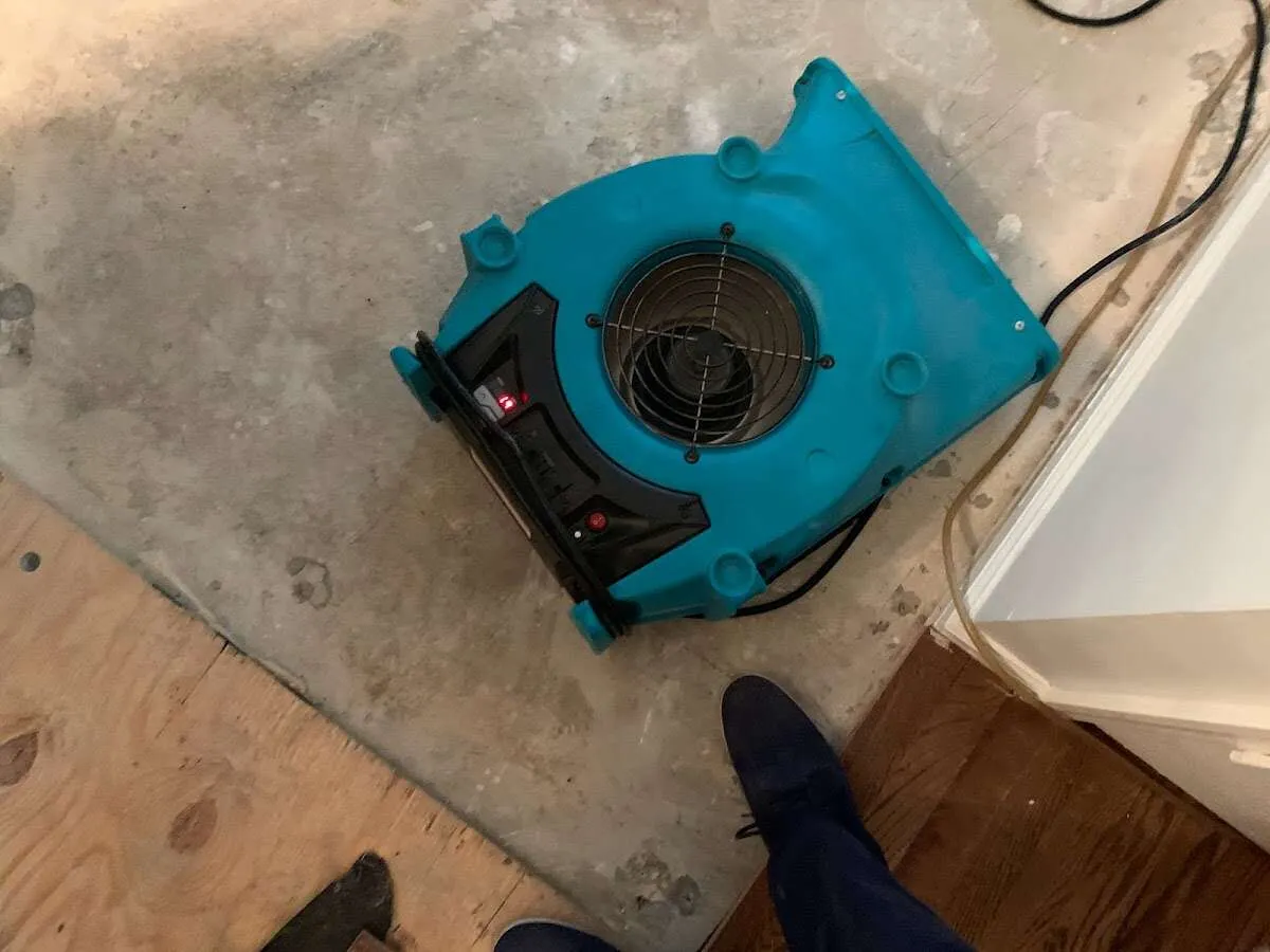 Air mover drying subfloor during Leak Detection & Repair in Newington